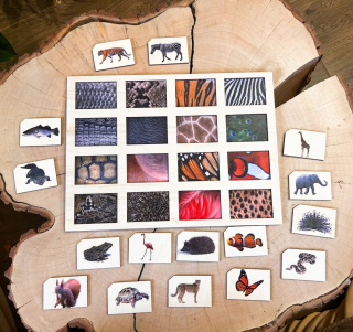 Poznať zvieratko, Montessori puzzle, logické myslenie