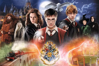 Trefl Puzzle 300el Tajomný Harry Potter 23001