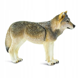 Sivý vlk - sivý vlk - Safari Ltd. - 100.509