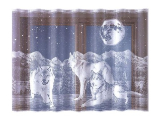 Záclony do detskej izby - Vlci záves 250 x 150 cm biela - Závesy detí