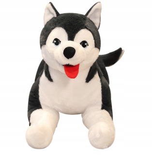 Plyšový pes -husky cuddly cuddly 70 cm