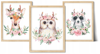 Obraz do detskej izby - Sada 3 Plagáty A3 Sarenka Owl Raccoon