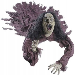 Hrozná čarodejnica halloween wiedzma horor