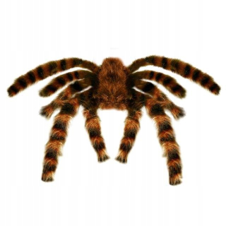 umelý pavúk halloween TALIANSKA tarantula 65 cm
